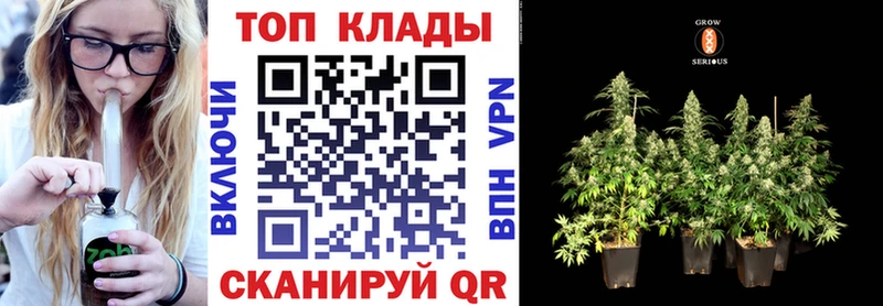 Сколько стоит Новоаннинский A PVP Меф ГАШИШ МАРИХУАНА