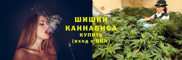 ГАЛЛЮЦИНОГЕННЫЕ ГРИБЫ Верхний Тагил