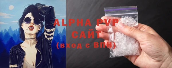 стаф Надым