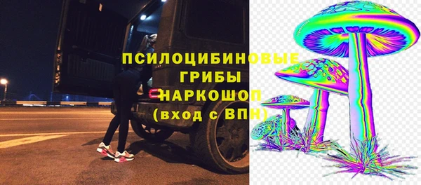 стаф Надым