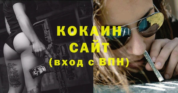стаф Надым