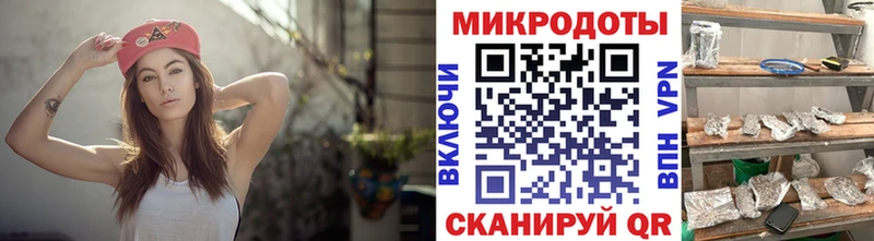 хочу наркоту  Новоаннинский  Галлюциногенные грибы Psilocybine cubensis 