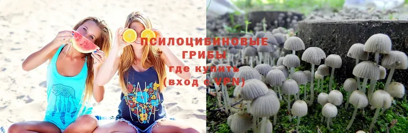 Галлюциногенные грибы Magic Shrooms  Новоаннинский 